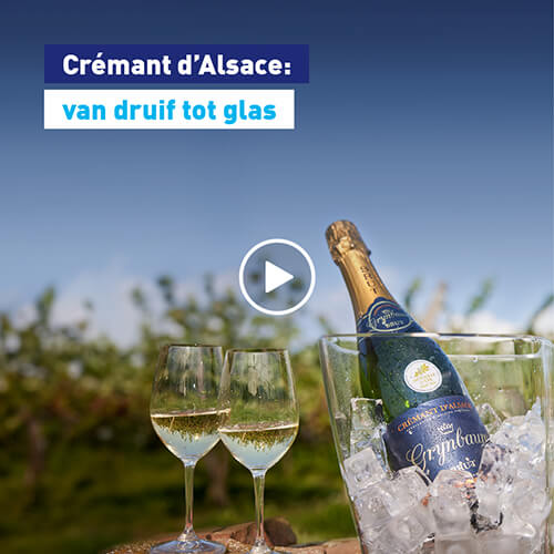 Crémant d’Alsace: van druif tot glas