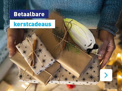 Betaalbare kerstcadeaus