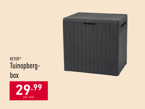 Tuinopbergbox