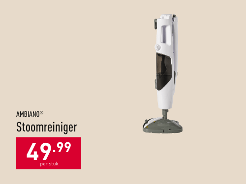 Stoomreiniger