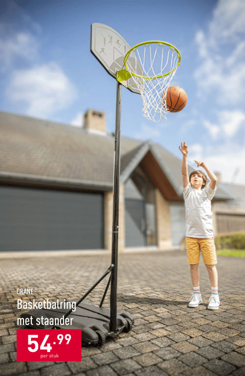 Basketbalring met staander