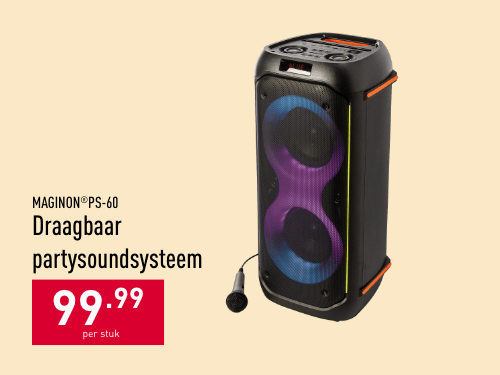 Draagbaar partysoundsysteem