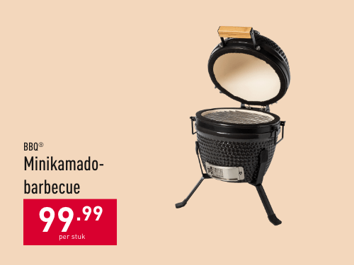 Minikamadobarbecue