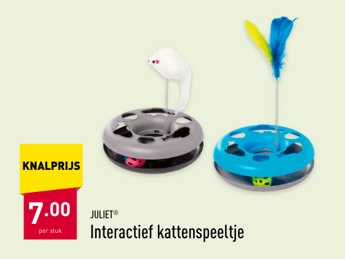 Interactief kattenspeeltje