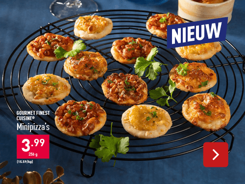 NIEUW - Minipizza's, 16 st.