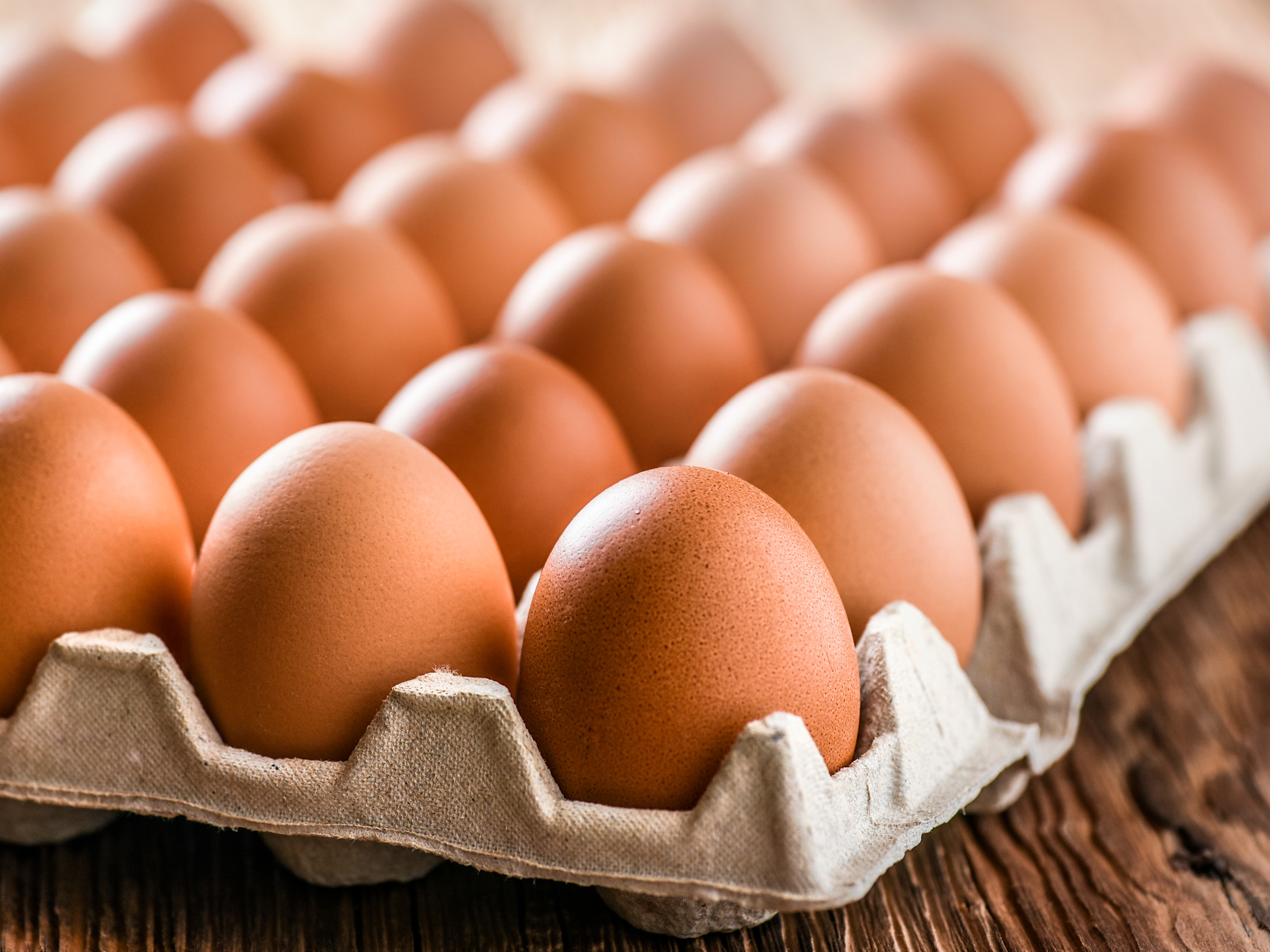 Fahrenheit Conciërge jacht Verse eieren kopen (scharreleieren, bio, etc.) | ALDI België